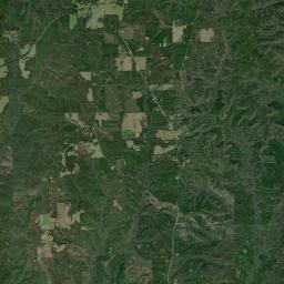 Scratch Ankle Alabama map(satellite map)