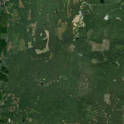 Turnbull Alabama map(satellite map)