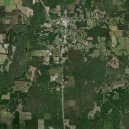 Luverne Alabama map(satellite map)