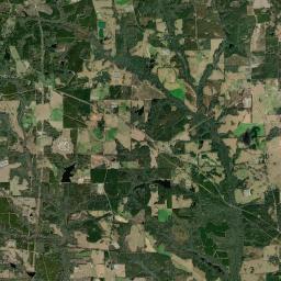 Tyler Crossroads Alabama map(satellite map)