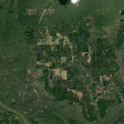 Salitpa Alabama map(satellite map)