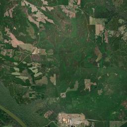 Wainwright Alabama map(satellite map)