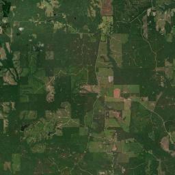 Ramah Alabama map(satellite map)