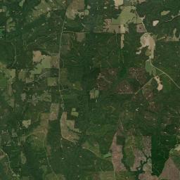 Fowler Alabama map(satellite map)