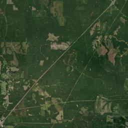 Wilcox Alabama map(satellite map)