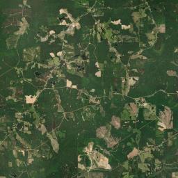 Lowry Mill Alabama map(satellite map)