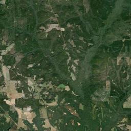 Bertha Alabama map(satellite map)