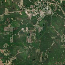 Elba Alabama map(satellite map)