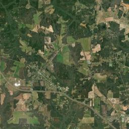 New Brockton Alabama map(satellite map)