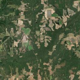 Lewis Alabama map(satellite map)
