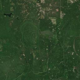 Carlton Alabama map(satellite map)