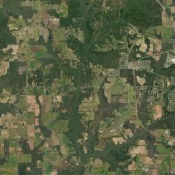Pine Forest Alabama map(satellite map)