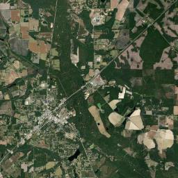Blackshear Satellite Map