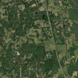 Leon County Satellite Map