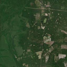 Nelson Landing Alabama map(satellite map)