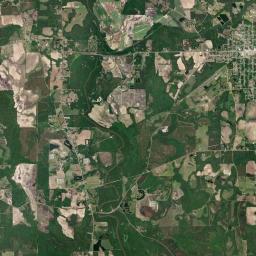 Samson Alabama map(satellite map)