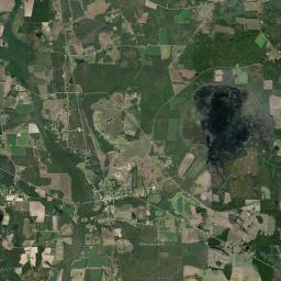 Ray City Satellite Map