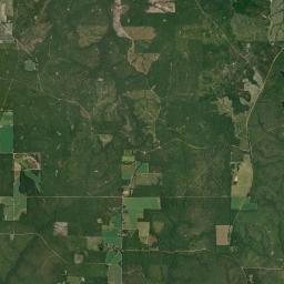 McLellan Florida Satellite Map