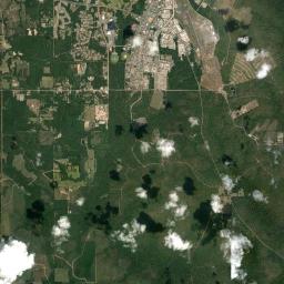 Fort Polk South Satellite Map
