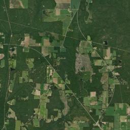 Fidelis Florida Satellite Map