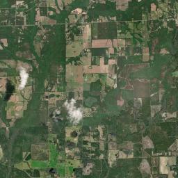 Flowersville Florida Satellite Map