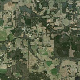 Ellaville Florida Satellite Map