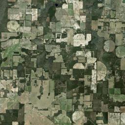 Ellis Florida Satellite Map