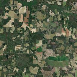 1121 Clyde Griffin Road, Thomasville, GA  Satellite Map