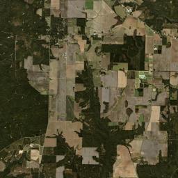 Walnut Hill Florida Satellite Map