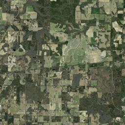 Bahoma Florida Satellite Map