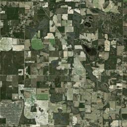 Dellwood Florida Satellite Map
