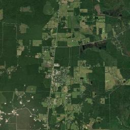 Pine Prairie Satellite Map