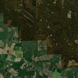 Tenile Florida Satellite Map