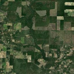 Wallace Florida Satellite Map