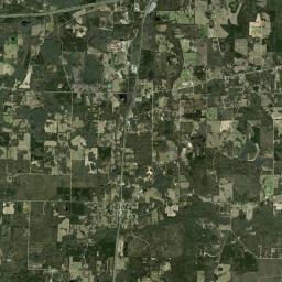 Steele City Florida Satellite Map