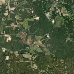 Dogtown Florida Satellite Map