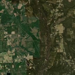 Muscogee Florida Satellite Map