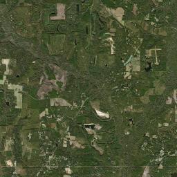 Branchville Florida Satellite Map