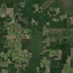 Beauregard Parish Satellite Map