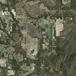 Selman Florida Satellite Map