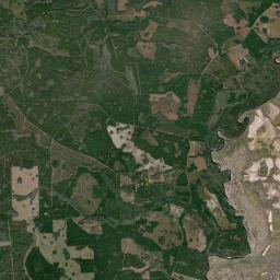 Watson Florida Satellite Map