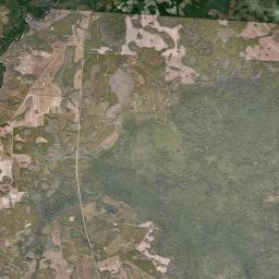 Needmore Florida Satellite Map