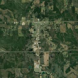 Livingston Satellite Map