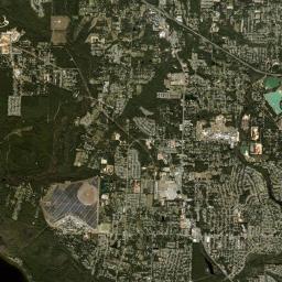 Pine Forest Florida Satellite Map