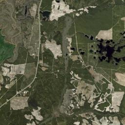 Red Head Florida Satellite Map