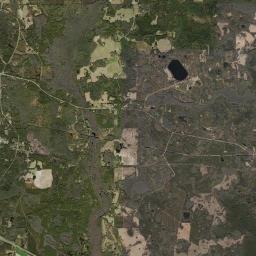 Aucilla Florida Satellite Map