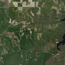 Jackson Bluff Florida Satellite Map
