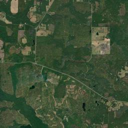 Capps Florida Satellite Map