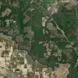 Suwannee Springs Florida Satellite Map
