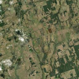 Lexington Satellite Map